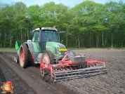 Planting potatoes