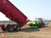 Planting potatoes