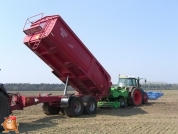 Planting potatoes