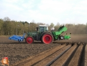 Planting potatoes