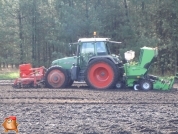 Planting potatoes