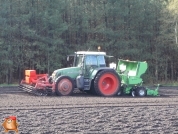 Planting potatoes