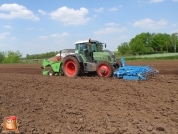 Planting potatoes