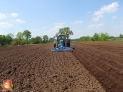 Planting potatoes