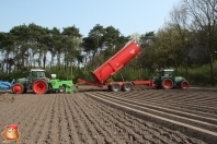 Planting potatoes