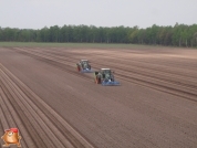 Planting potatoes