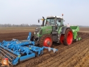 Planting potatoes