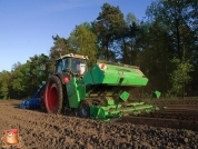 Planting potatoes