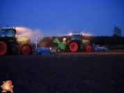 Planting potatoes