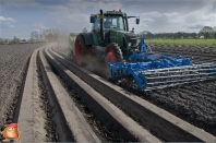 Planting potatoes