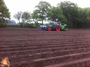 Planting potatoes