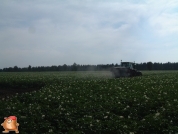 Amazone kunstmeststrooier met een inhoud van 2200 kg en kantschijf