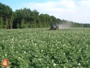 Amazone kunstmeststrooier met een inhoud van 2200 kg en kantschijf