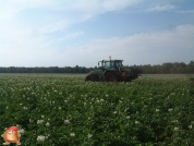 Amazone kunstmeststrooier met een inhoud van 2200 kg en kantschijf