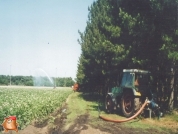 Beregnen bei van den Borne aardappelen