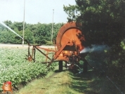 Beregnen bei van den Borne aardappelen