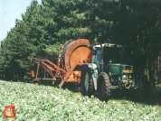 Beregnen bei van den Borne aardappelen