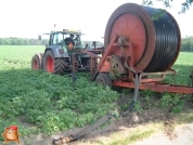 Beregnen bei van den Borne aardappelen