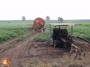 Beregnen bei van den Borne aardappelen