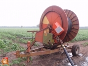 Beregnen bei van den Borne aardappelen