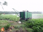 Beregnen bei van den Borne aardappelen