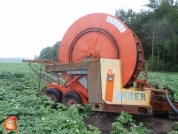 Beregnen bei van den Borne aardappelen