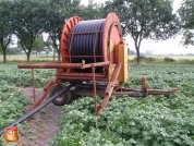 Beregnen bei van den Borne aardappelen