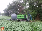 Beregnen bei van den Borne aardappelen