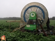 Beregnen bei van den Borne aardappelen