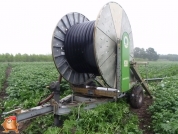 Beregnen bei van den Borne aardappelen