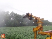 Beregnen bei van den Borne aardappelen