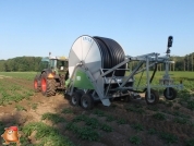 Beregnen bei van den Borne aardappelen