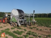 Beregnen bei van den Borne aardappelen