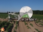 Beregnen bei van den Borne aardappelen