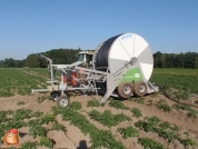 Beregnen bei van den Borne aardappelen