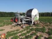 Beregnen bei van den Borne aardappelen