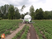 Beregnen bei van den Borne aardappelen