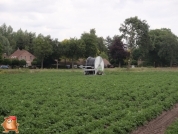 Beregnen bei van den Borne aardappelen