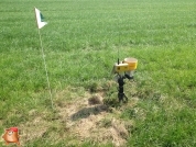 Beregnen bei van den Borne aardappelen