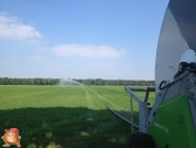 Beregnen bei van den Borne aardappelen