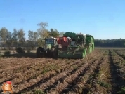 AVR Solanum 2000 met Fendt 820 met krampe kieper