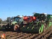 AVR Solanum 2000 met Fendt 820 met krampe kieper