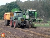 AVR Solanum 2000 met Fendt 824 afvoercombinatie