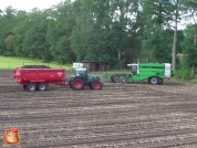 Harvesting potatoes