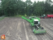 Harvesting potatoes