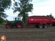 Harvesting potatoes