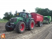 Harvesting potatoes