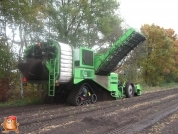 Harvesting potatoes