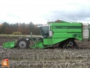 Harvesting potatoes