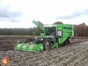 Harvesting potatoes